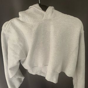 Aritzia Cropped Hoodie
